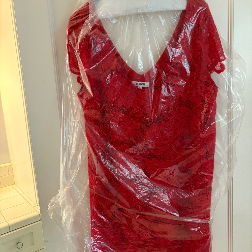 Red lace dress